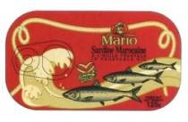 MARIO SARDINE MAROCAINE A L'HUILE VEGETALE