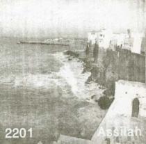 ASSILAH 2201