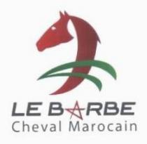 LE BARBE CHEVAL MAROCAIN