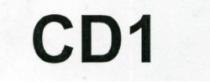 CD1