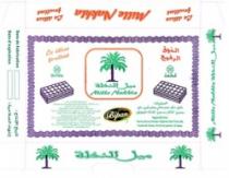 MILLE NAKHLA
