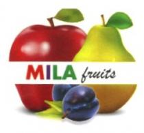 MILA FRUITS