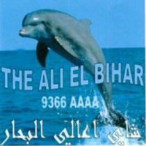 THE ALI EL BIHAR 9366 AAAA