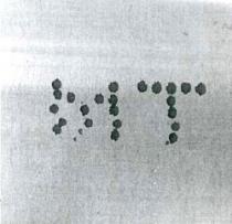 MT