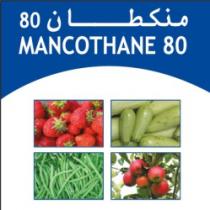MANCOTHANE 80