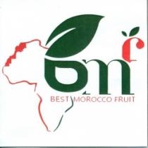 BMF (BEST MOROCCO FRUIT)