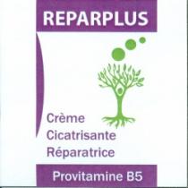 REPARPLUS (CRÈME CICATRISANTE RÉPARATRICE)