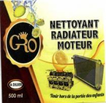 GRO NETTOYANT RADIATEUR MOTEUR