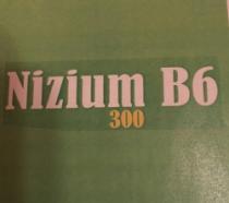 NIZIUM B6 300