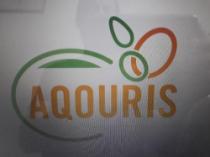 AQOURIS