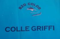 BZO COLOR COLLE GRIFFI