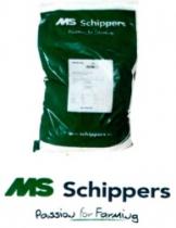 MS SCHIPPERS