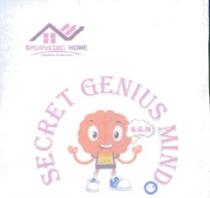SECRET GENIUS MIND