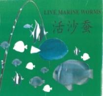 LIVE MARINE WORMS