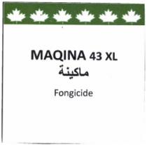 MAQINA 43 XL