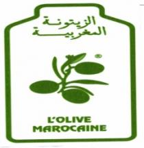 L'OLIVE MAROCAINE