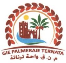 GIE PALMERAIE TERNATA