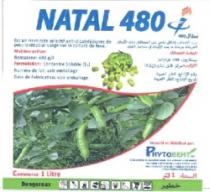 NATAL 480