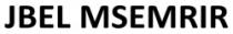 MSEMRIR