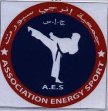 ASSOCIATION ENERGY SPORT AES