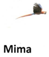 MIMA