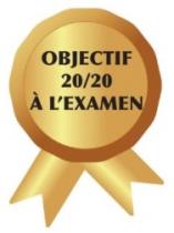 OBJECTIF 20/20 A L'EXAMEN