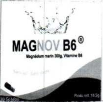 MAGNOV B6