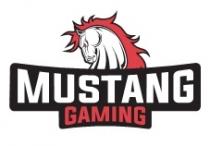 MUSTANG GAMING