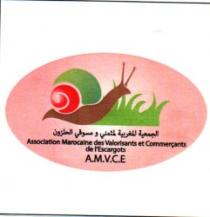ASSOCIATION MAROCAINE DES VALORISANTS ET COMMERÇANTS DE L'ESCARGOTS A.M.V.C