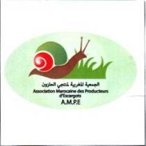 ASSOCIATION MAROCAINE DES PRODUCTEURS D'ESCARGOTS A.M.P