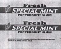 FRESH SPECIAL MINT