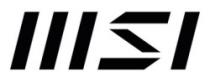MSI