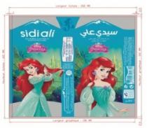 SIDI ALI EAU MINÉRALE NATURELLE