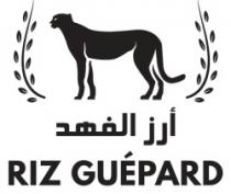 RIZ GUÉPARD