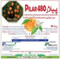 PILAR 480