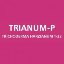 TRIANUM-P TRICHODERMA HARZIANUM T - 22