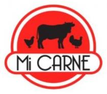 MI CARNE