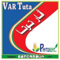 VAR TUTA