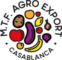 M.T.F AGRO EXPORT CASABLANCA