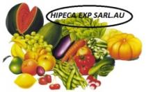 HIPECA EXP