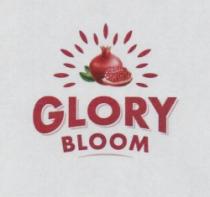 GLORY BLOOM