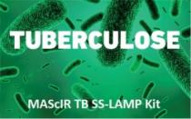 MASCIR TUBERCULOSE TB SS-LAMP KIT