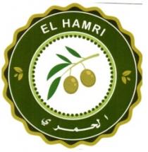 EL HAMRI