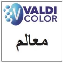 VALDI COLOR MAALEM