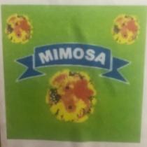 MIMOSA