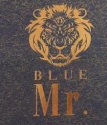 MR.BLUE