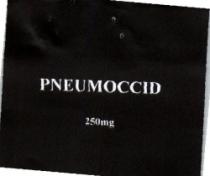 PNEUMOCCID 250 MG