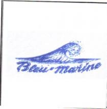 BLEU MARINE