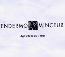 ENDERMO MINCEUR