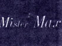 MISTER-MAX